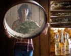 Loix : les plantes de Cristina et Albane vues par Maurice Rougemont