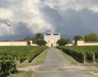 Château Malescasse - Lamarque