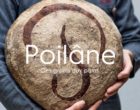 Apollonia Poilâne : pour l&rsquo;amour du pain