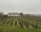 Petits Gîtes de Javernières - Villié-Morgon