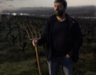Muscadet : rencontre avec trois vignerons remarquables.
