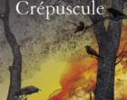 Crépuscule de Philippe Claudel