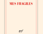 Mes fragiles de Jérôme Garcin