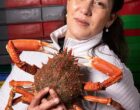 Rungis : la mer selon Ourida