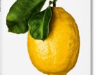 La gloire du citron