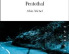 Pentothal d&rsquo;Eric Neuhoff