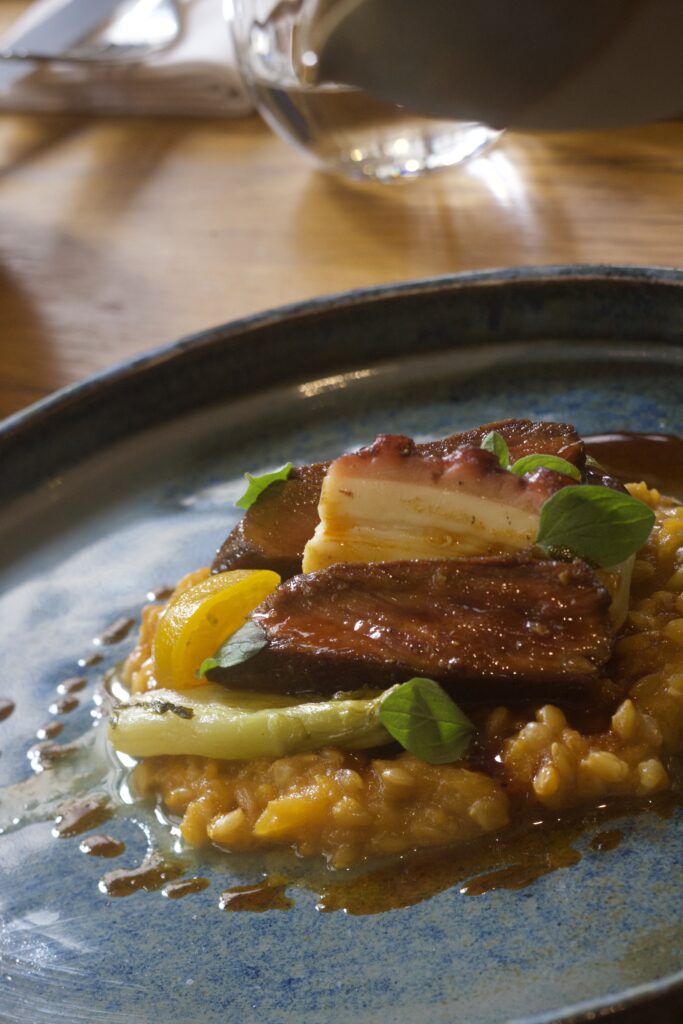 Cochon et poulpe, risotto de Provence © MR