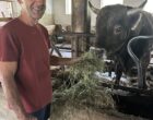 Doren : les p&rsquo;tits bonheurs des Lingenhel