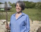 Lessay : la Cotentine Moderne et la gloire du pré-salé