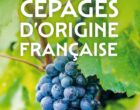 Tout sur les cépages
