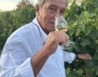 Gassin :  Bertrand Letartre, artisan vigneron