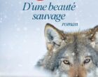 D&rsquo;une beauté sauvage de Christian Signol
