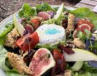 Rayol-Canadel: un jardin extraordinaire et son café gourmand (bis)