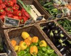 Hoerdt : les beaux légumes de la ferme Dollinger