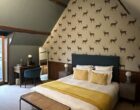 Chassy : les plaisirs champêtres de Roncemay