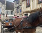 Noyers-sur-Serein : des pergolas très à cheval sur le vin