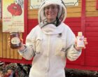 Yvoy-le-Marron : la reine des abeilles