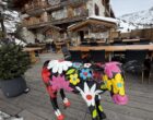 Tignes : une ferme très sophistiquée