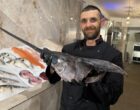 Cucuron : les poissons de Fabrice Douheret