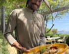 Hyères/Giens : retour contrasté au Bar du Soleil