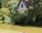 La Petite-Pierre : les p&rsquo;tits bonheurs de l’étang d’Imsthal