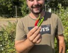 Foissat : Quentin Bozonnet réveille le piment de Bresse