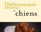 Stéphane Hoffmann : les chiens, et ce qu’ils disent de nous